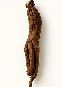2증포