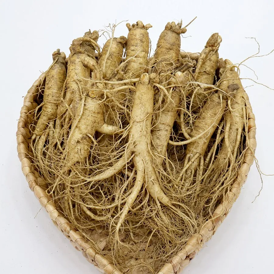 GAP Washed Fresh Ginseng — GEUMHEUK ginseng product